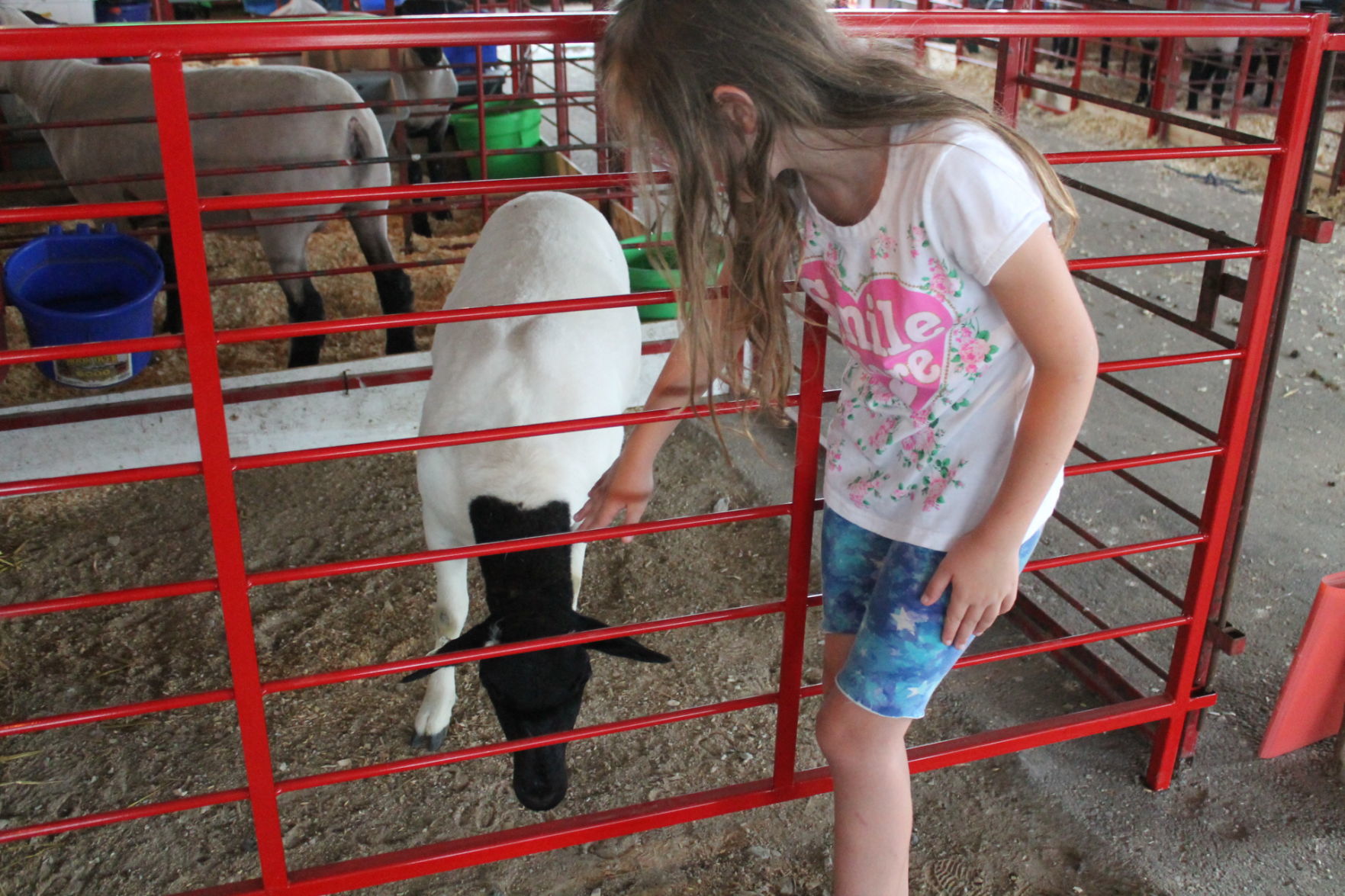 DC Fair Tuesday 034.JPG